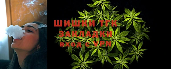 индика Баксан
