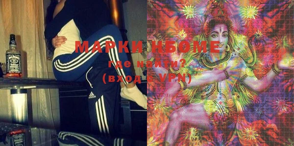 индика Баксан