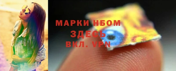 индика Баксан
