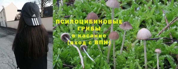 индика Баксан
