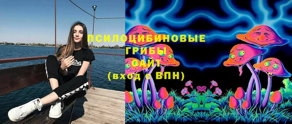 индика Баксан