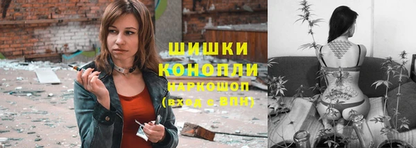 Альфа ПВП Протвино