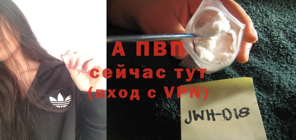индика Баксан