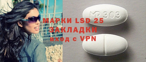 индика Баксан
