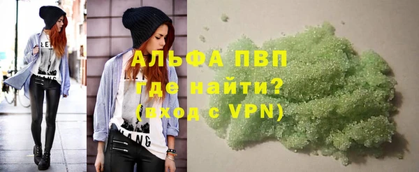 индика Баксан