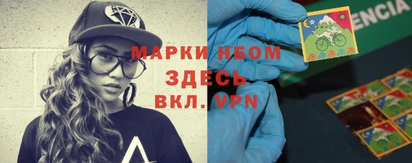 индика Баксан